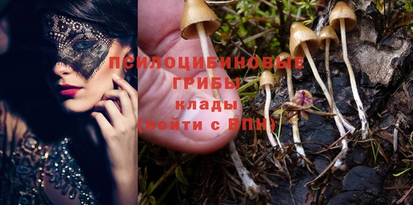 прущие крисы Володарск