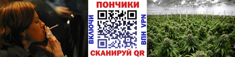 Купить  Бугуруслан  Марихуана VHQ 
